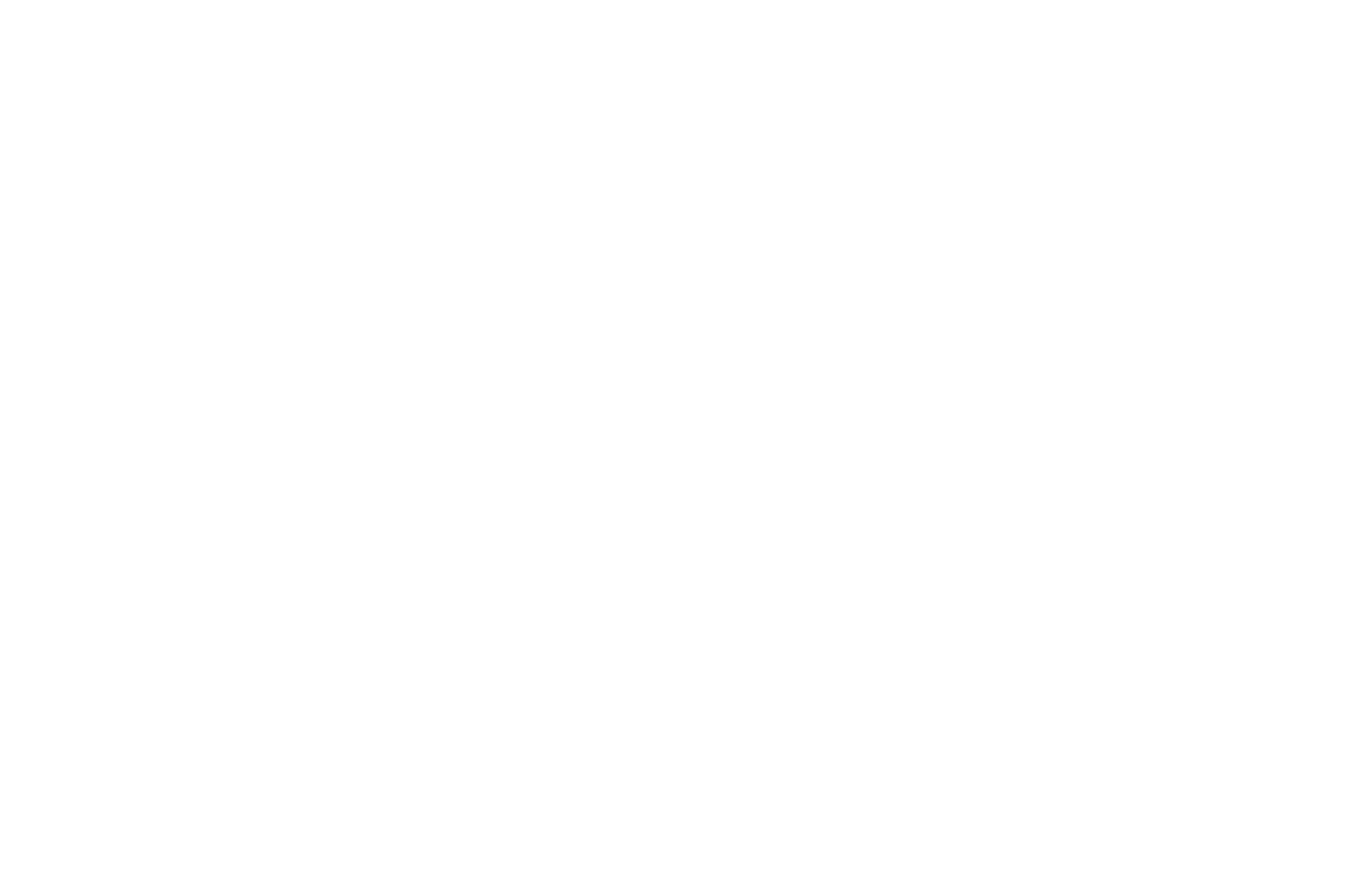 _OFFICIAL SELECTION - CAAMFest - 2019